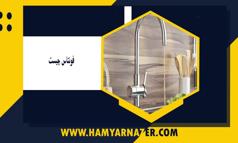 فونتاس چیست